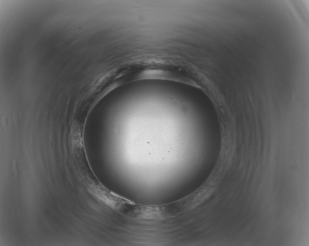 X0000081370384200701182145