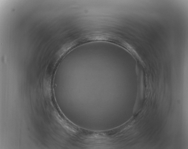 X0000081370386200701182144