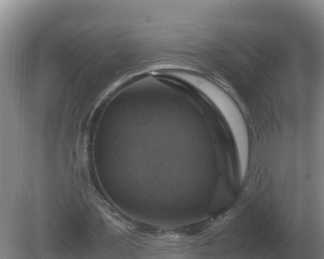 X0000081370387200701182144