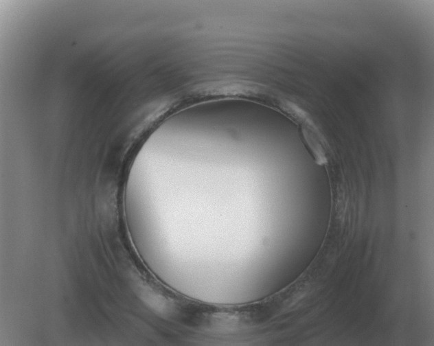 X0000081370394200701182144