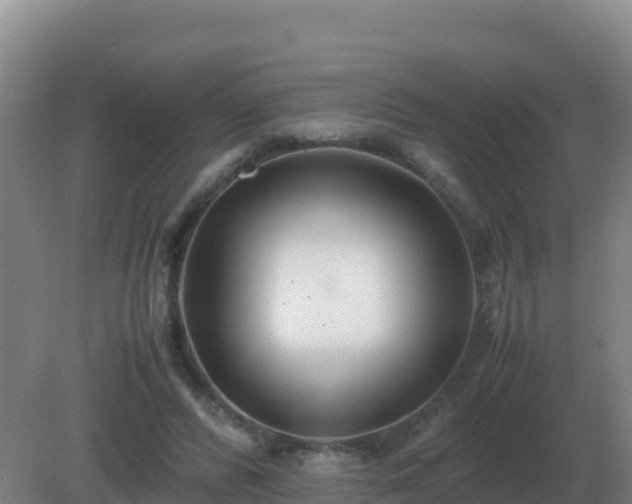 X0000081370400200701182144