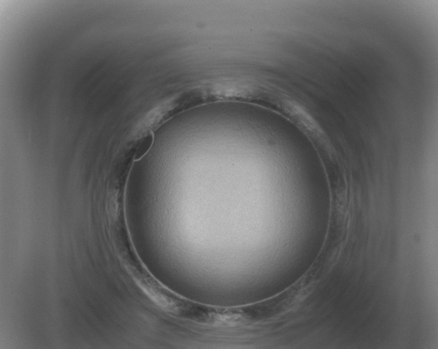 X0000081370401200701182144