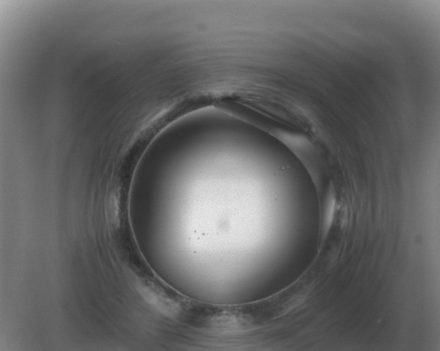 X0000081370404200701182144