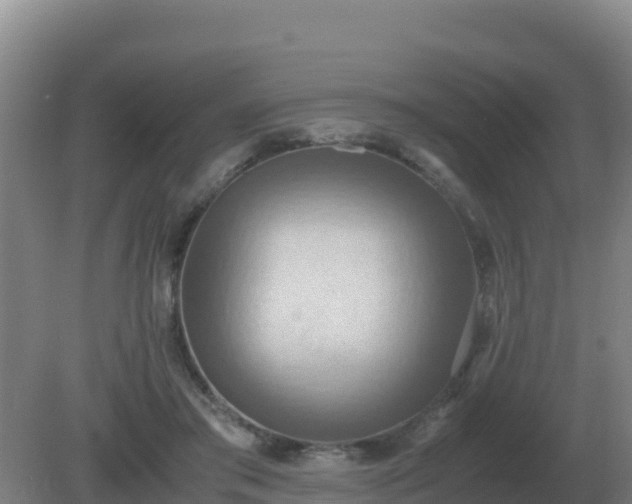 X0000081370405200701182144