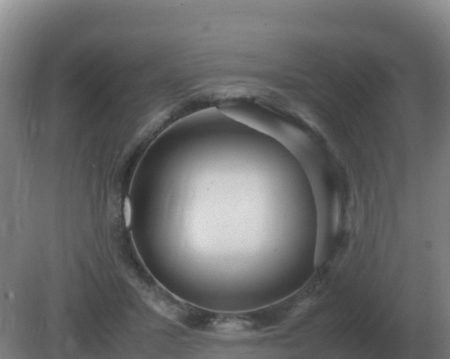 X0000081370407200701182144