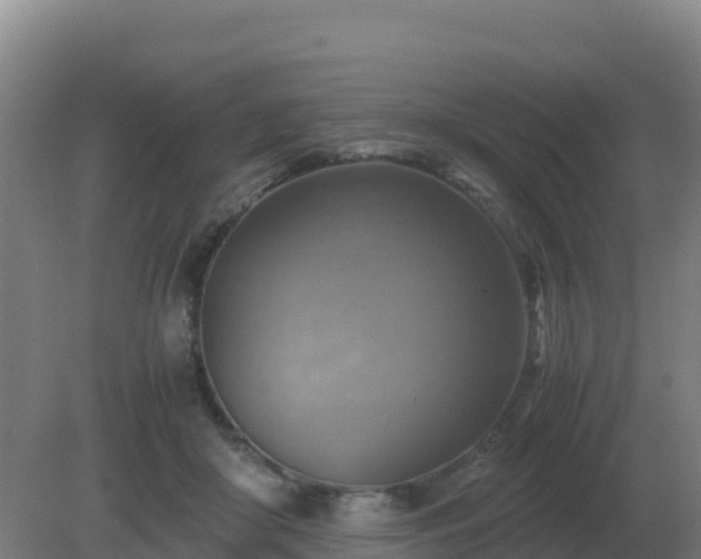 X0000081370410200701182144