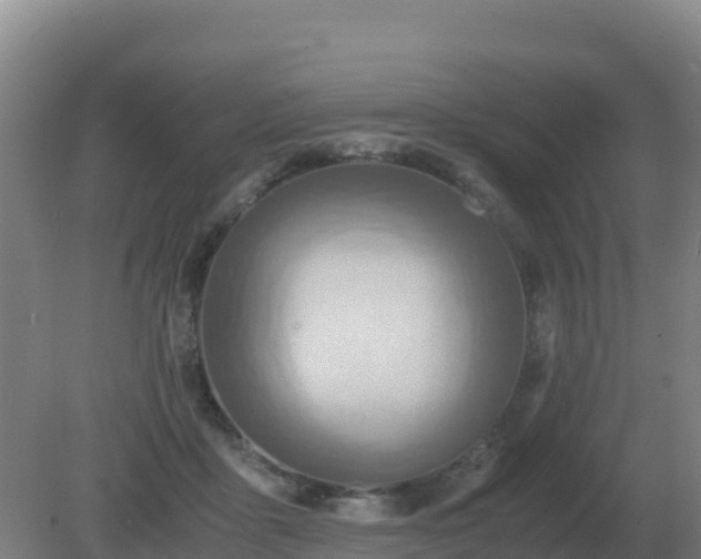 X0000081370411200701182144