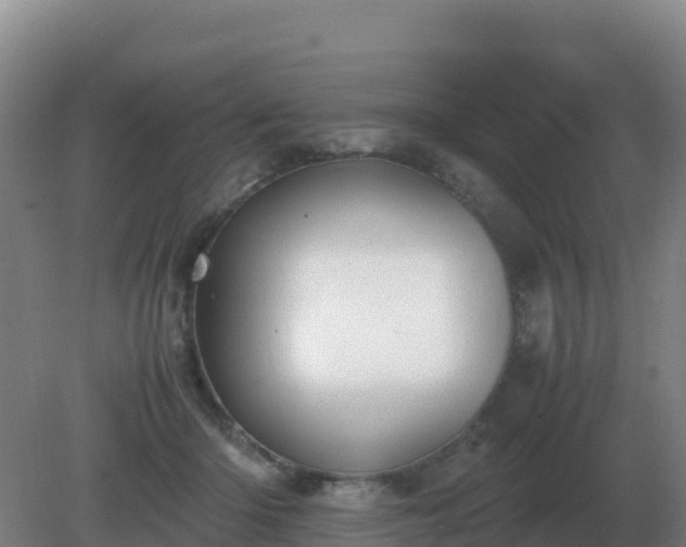 X0000081370414200701182144