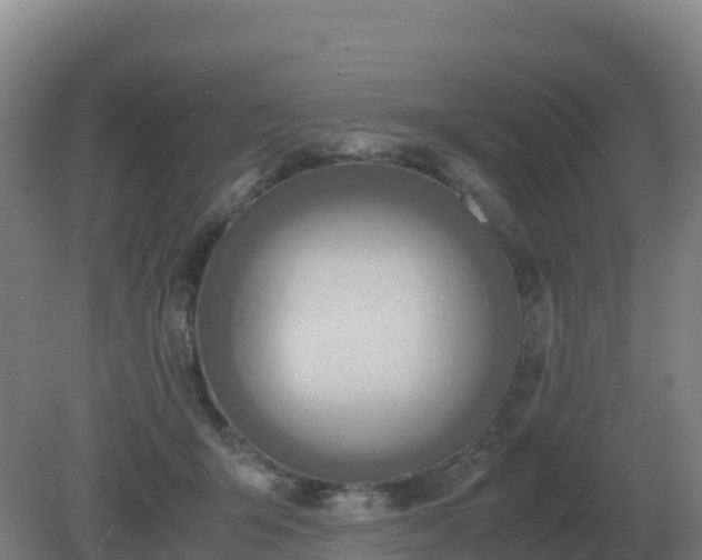 X0000081370415200701182144