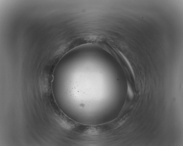 X0000081370416200701182144