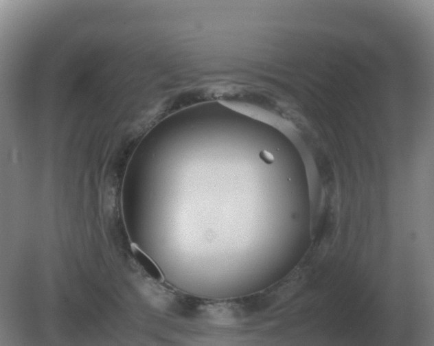 X0000081370417200701182144