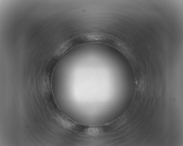 X0000081370418200701182144
