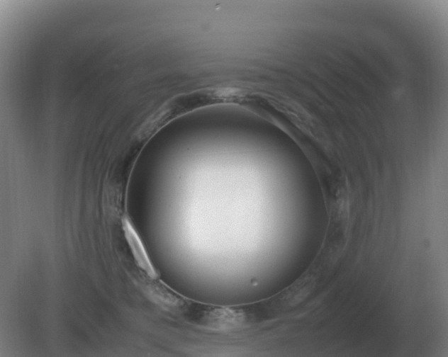 X0000081370421200701182144