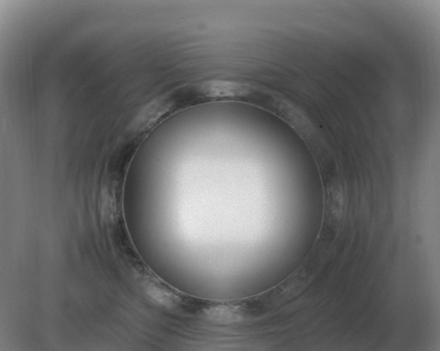 X0000081370422200701182144