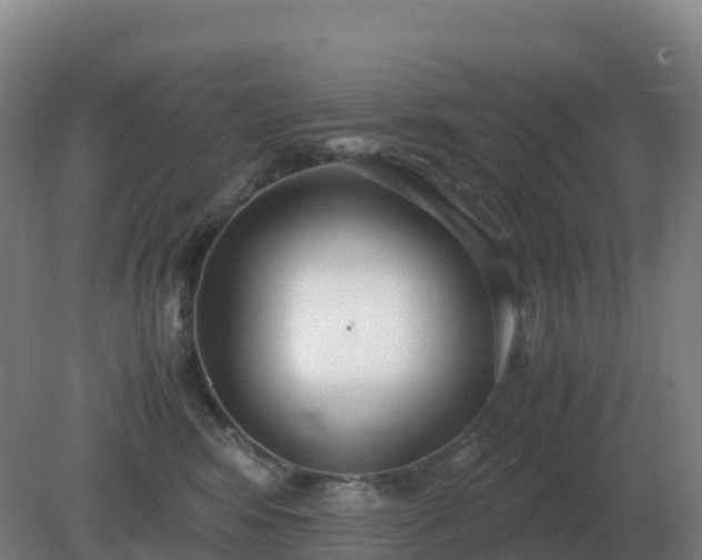 X0000081370424200701182144