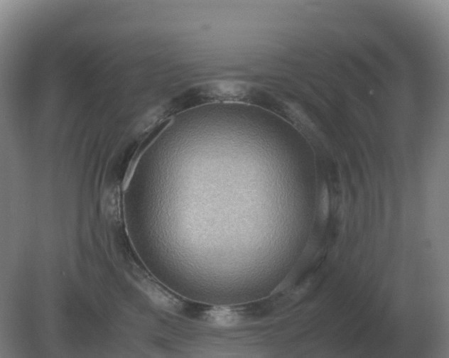 X0000081370425200701182144
