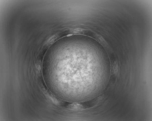 X0000081370427200701182144