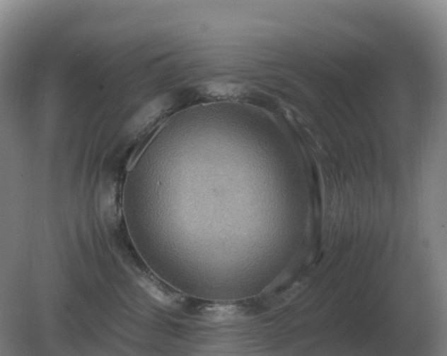 X0000081370428200701182144