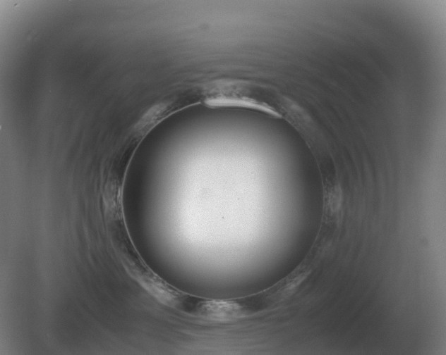 X0000081370429200701182144