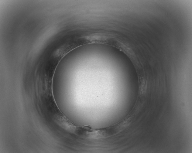 X0000081370430200701182144