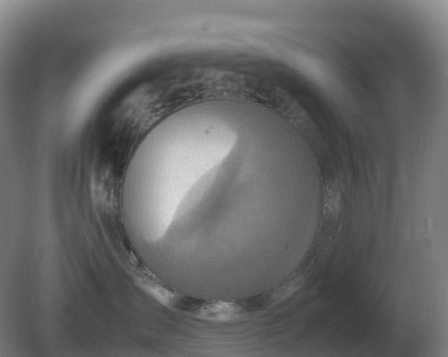 X0000081370431200701182144