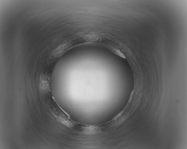 X0000081370432200701182144