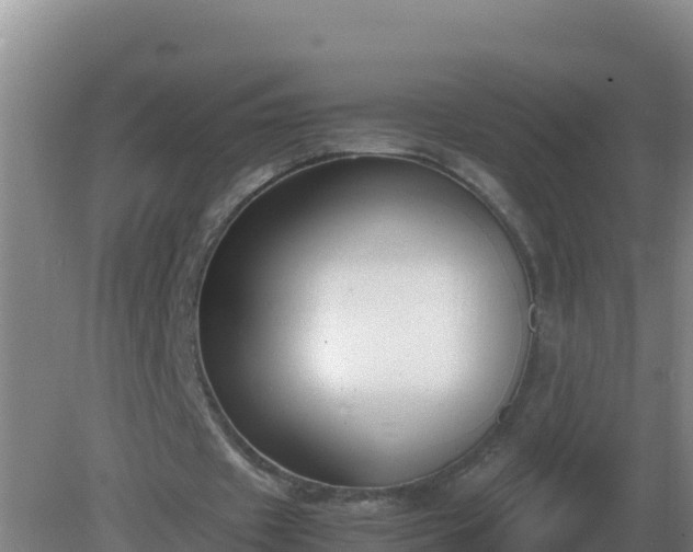 X0000081370433200701182143