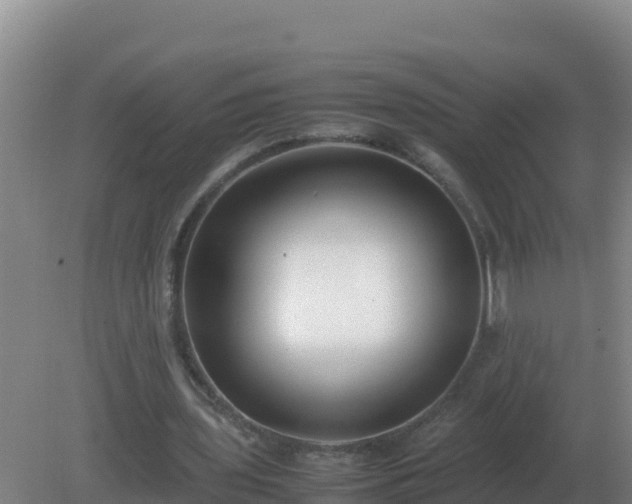 X0000081370435200701182143
