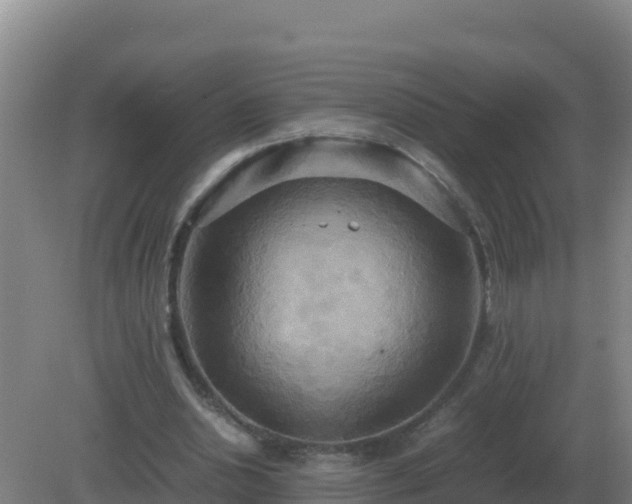 X0000081370438200701182143