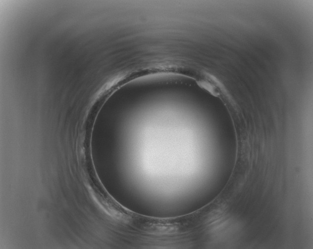 X0000081370443200701182143