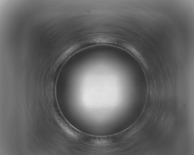 X0000081370445200701182143