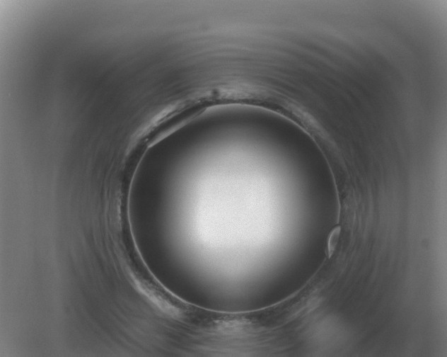 X0000081370446200701182143