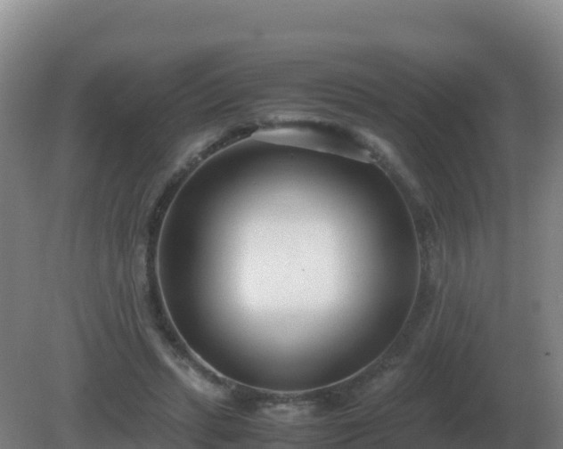 X0000081370447200701182143