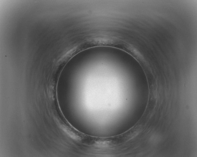 X0000081370450200701182143