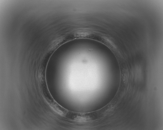 X0000081370455200701182143