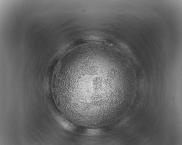 X0000081370457200701182143