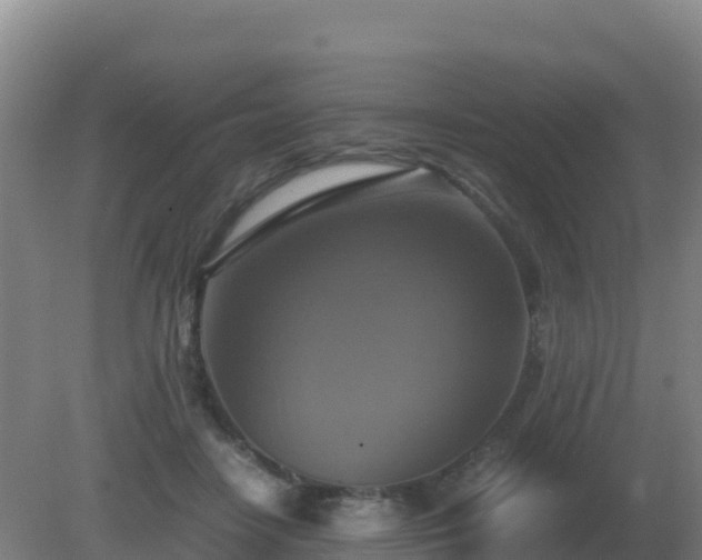 X0000081370458200701182143