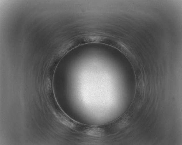X0000081370459200701182143