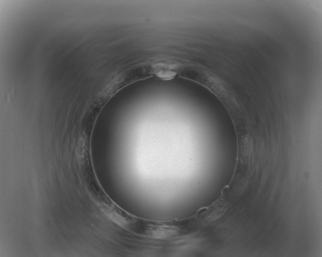 X0000081370463200701182143