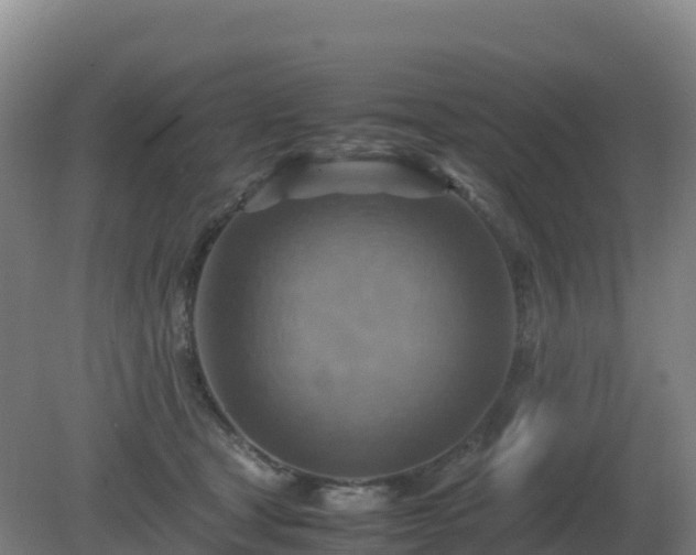 X0000081370465200701182143