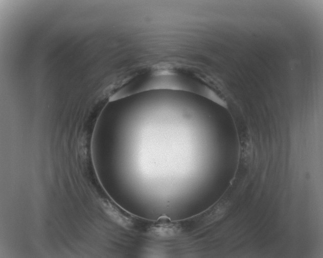 X0000081370466200701182143