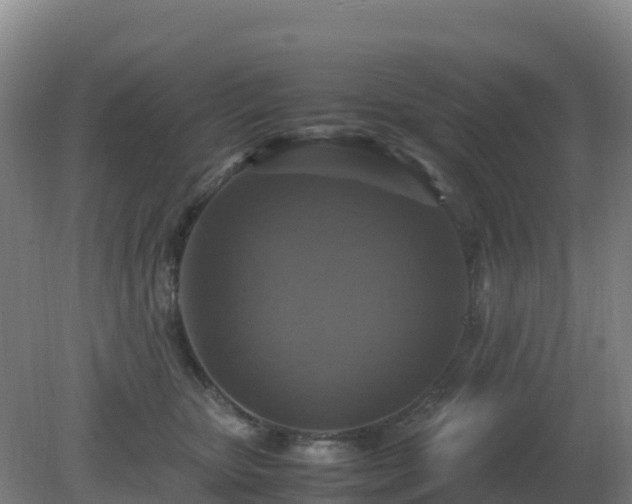 X0000081370467200701182143