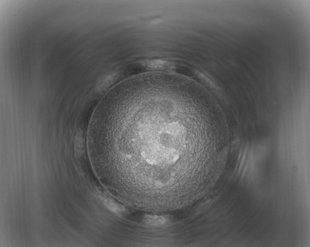 X0000081370469200701182143