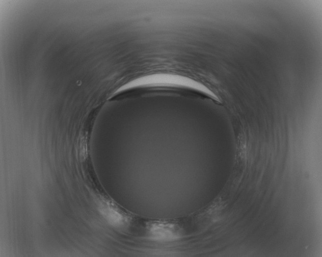 X0000081370471200701182143