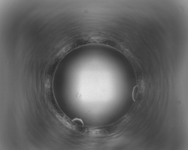 X0000081370472200701182143