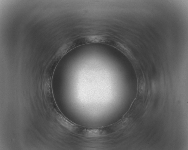 X0000081370473200701182143