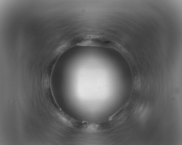 X0000081370474200701182143