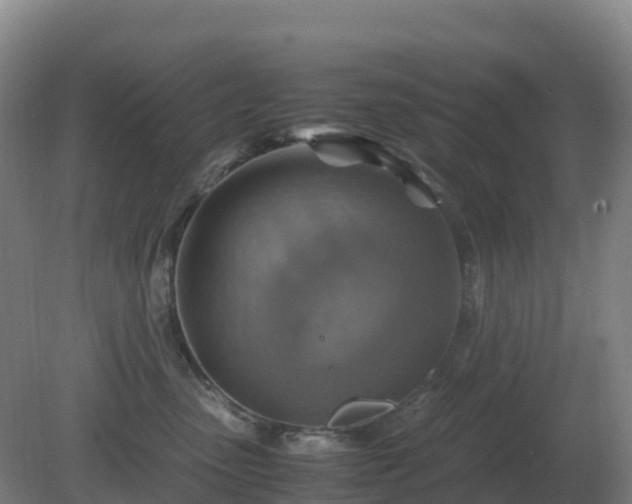 X0000081370475200701182143