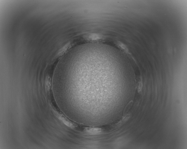 X0000081370476200701182143