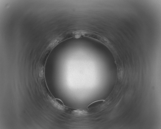 X0000081370477200701182143
